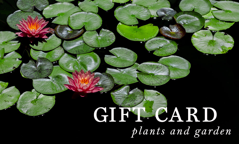 Gift Card - Plants and Garden